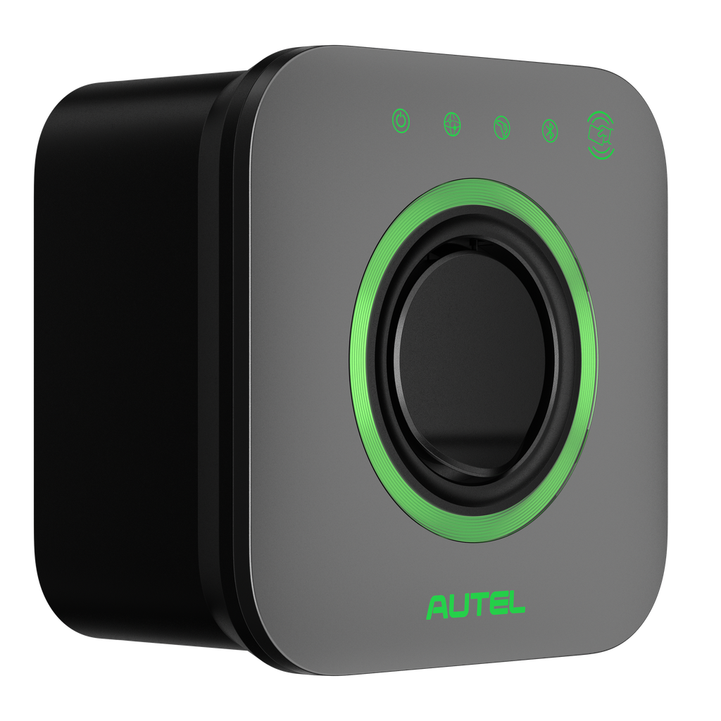 Side View Right.webp